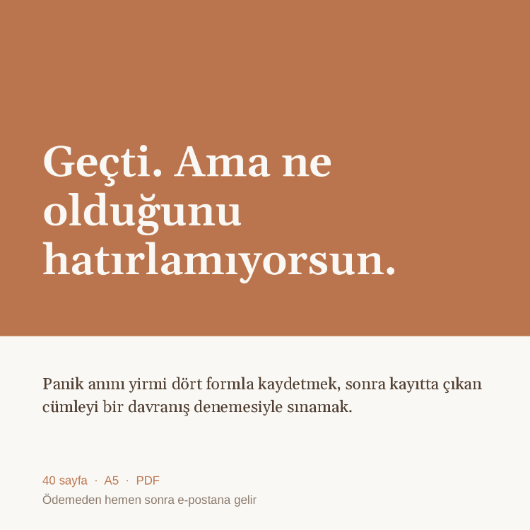 Panik Anı Kayıt Defteri