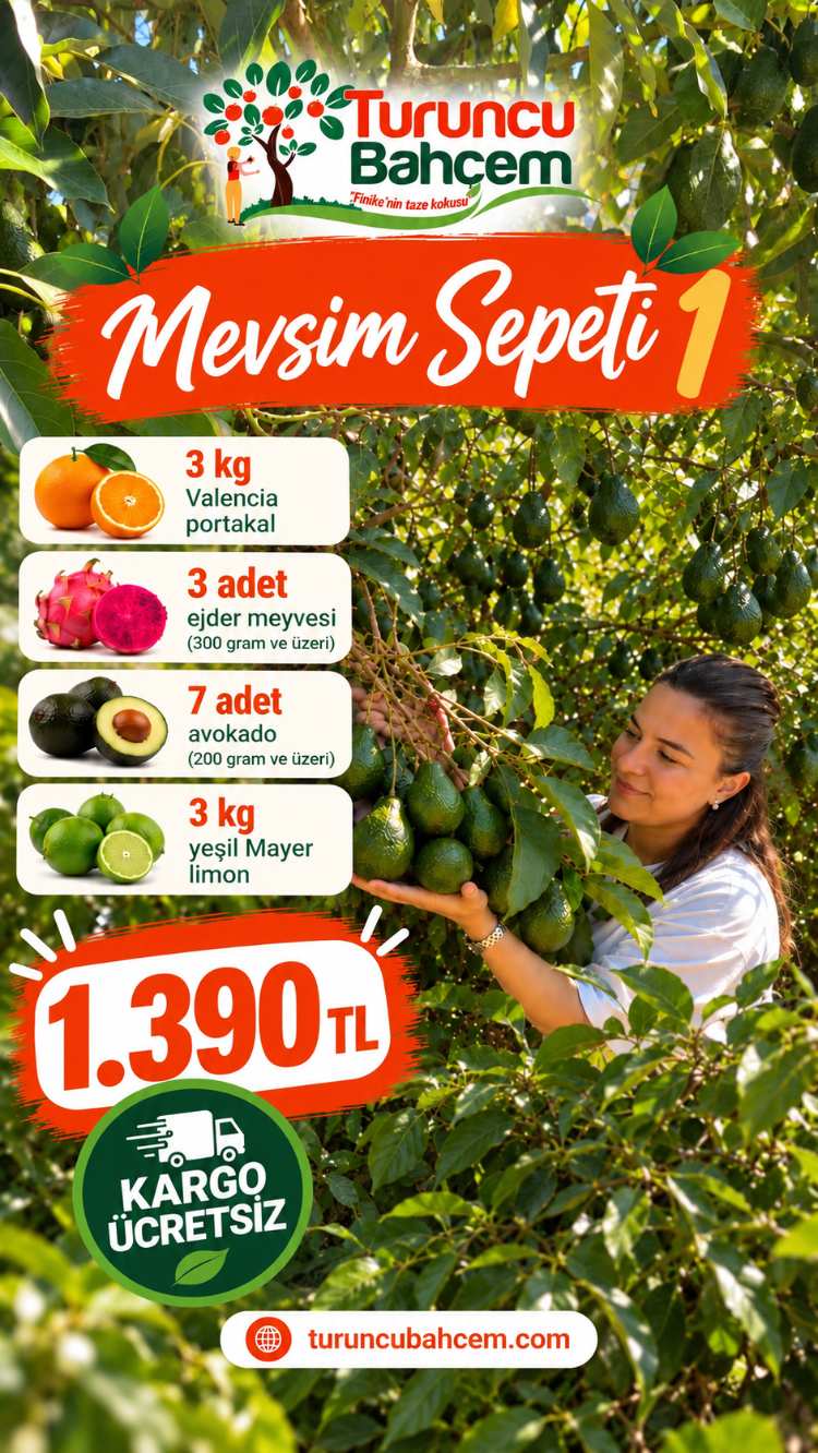 Mevsim Sepeti 1