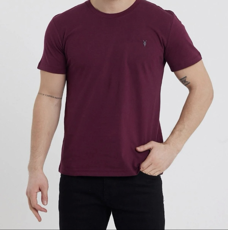 Standart Kalıp Basic Bisiklet Yaka Nakış Detaylı Erkek T-Shirt
