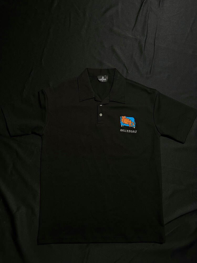 Hallederiz Nakış İşlemeli Polo Yaka T-shirt