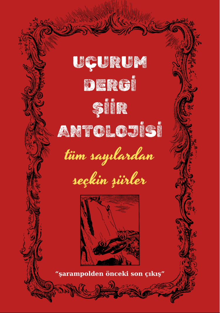 ÖZEL SEÇKİ ŞİİR ANTOLOJİSİ- ( 2 adet ve üzeri siparişlere poster hediyeli)