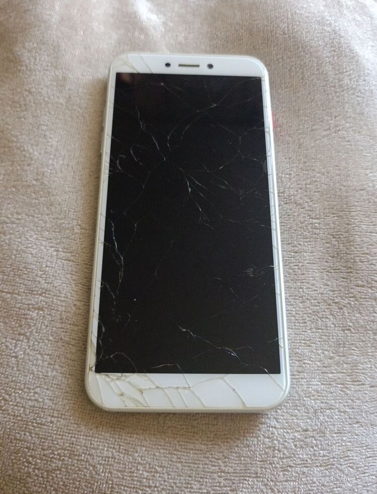 General Mobile 9 Go (GM9 Go)