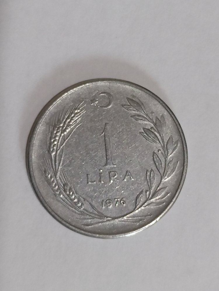 1 Lira Madeni Para (1976)