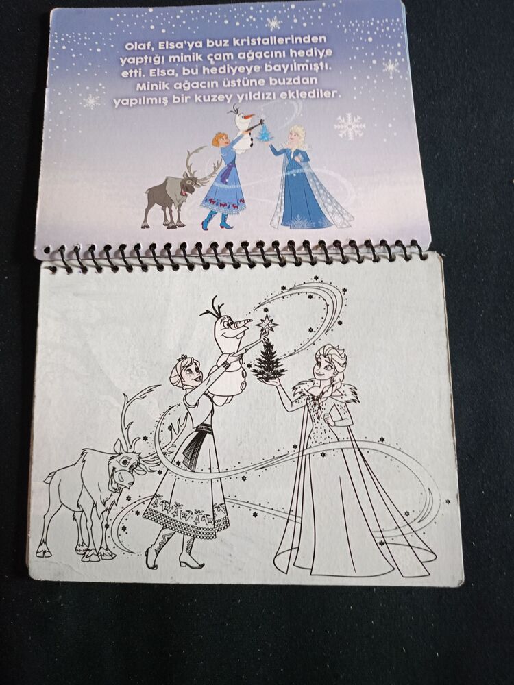 Disney Frozen Renkli Sihirli Su Defteri