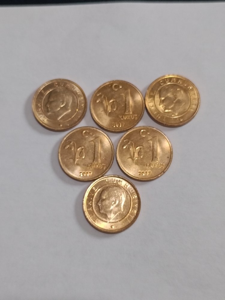 6 Adet 1 Kuruş (2017)