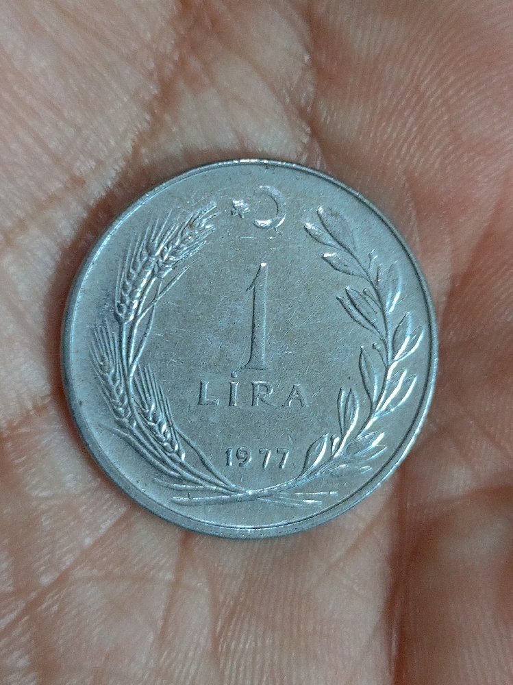 1 Lira Hatıra  Madeni Para (1977)