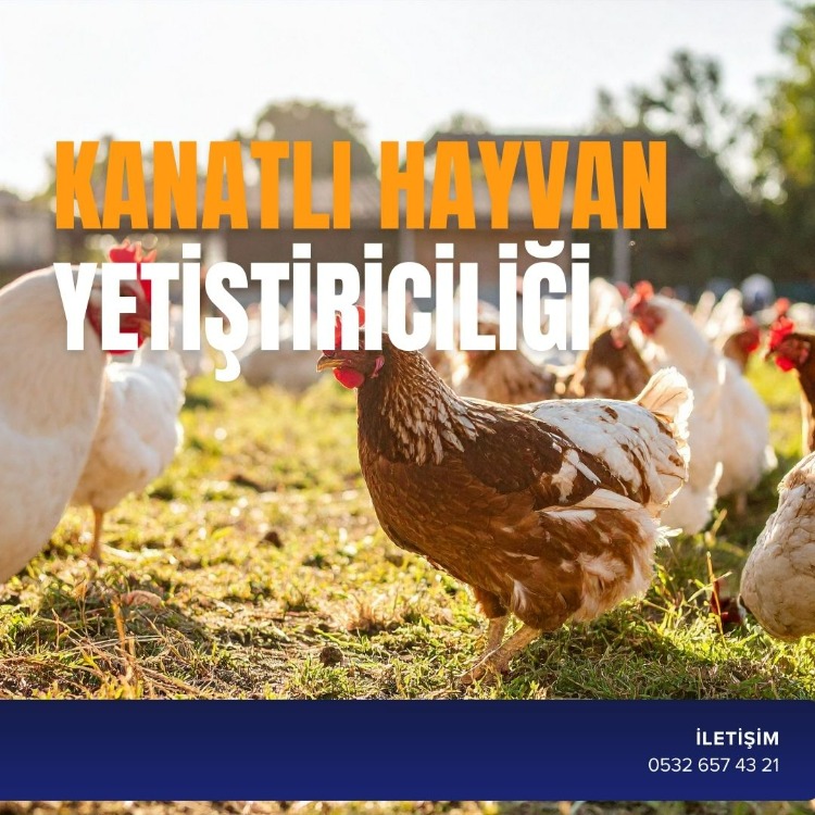 KANATLI HAYVAN YETİŞTİRİCİLİĞİ