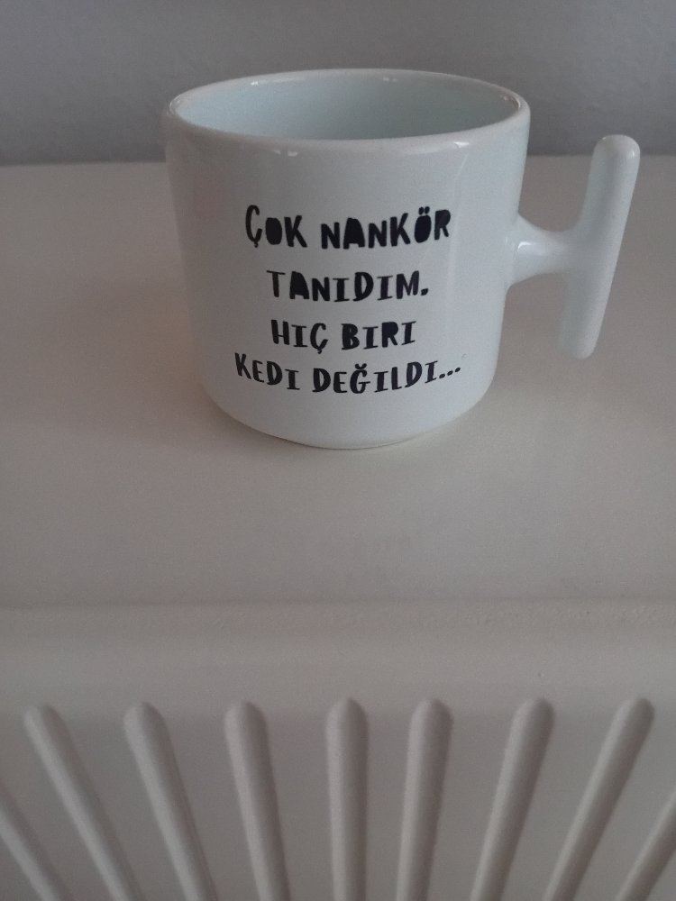 Kedi Figürlü T Kupa