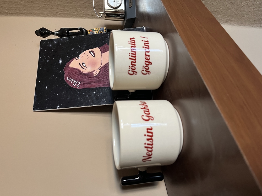 Nedisin Gakko Gönlümün Gögercini Kupa