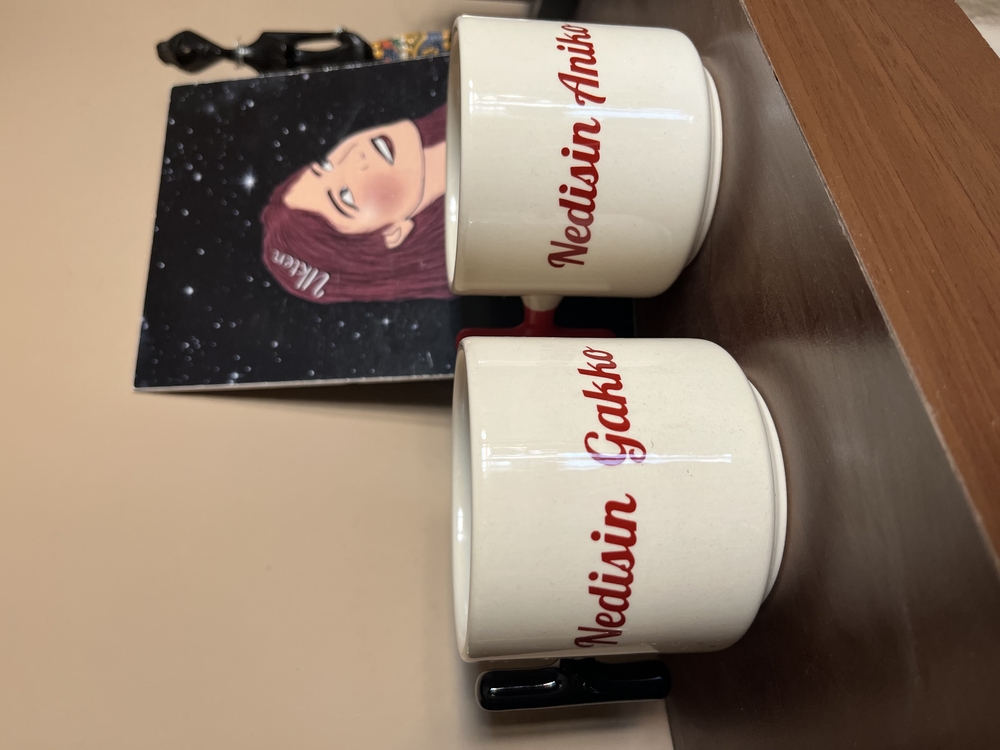 Nedisin gakko nedisin aniko ikili fincan 