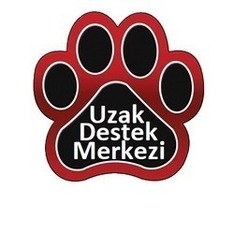 Uzak Destek Bedeli