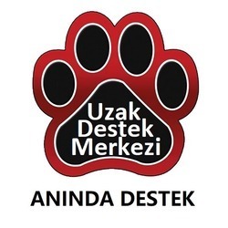 Anında Uzak Destek