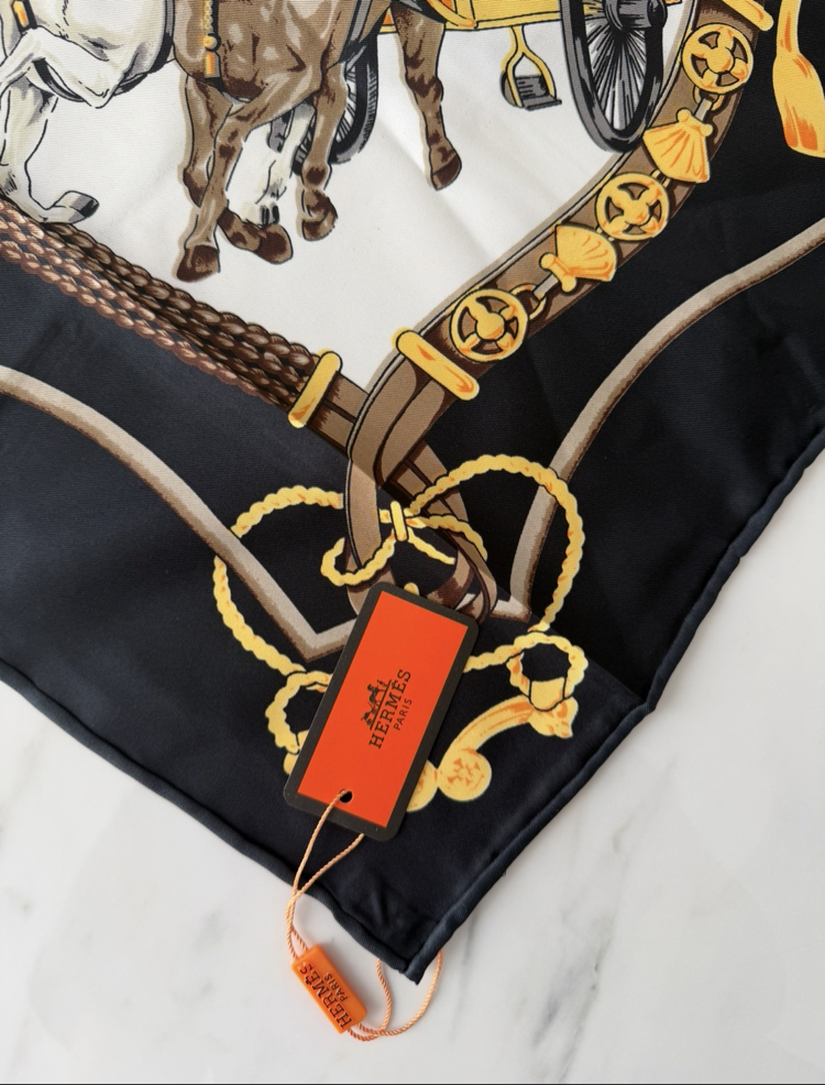 Hermès Silk Scarf