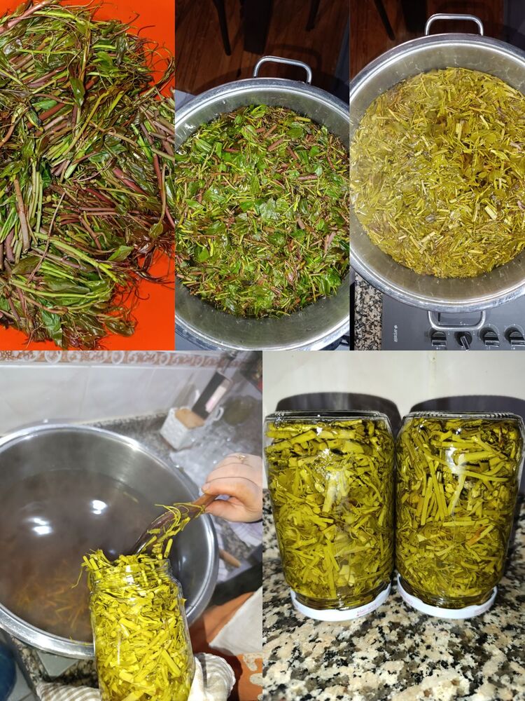 melevcen (720 CC kavanozda)