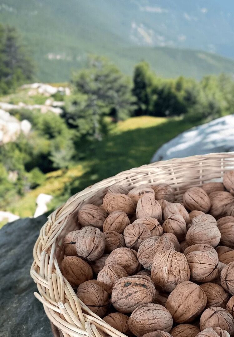 kabuklu ceviz 1kg
