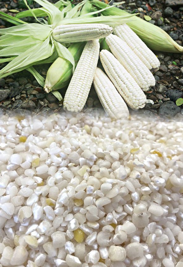 Mısır Yarması (çorbalık) 1 kg 