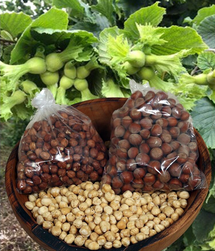 Kavrulmuş fındık 500 Gr.