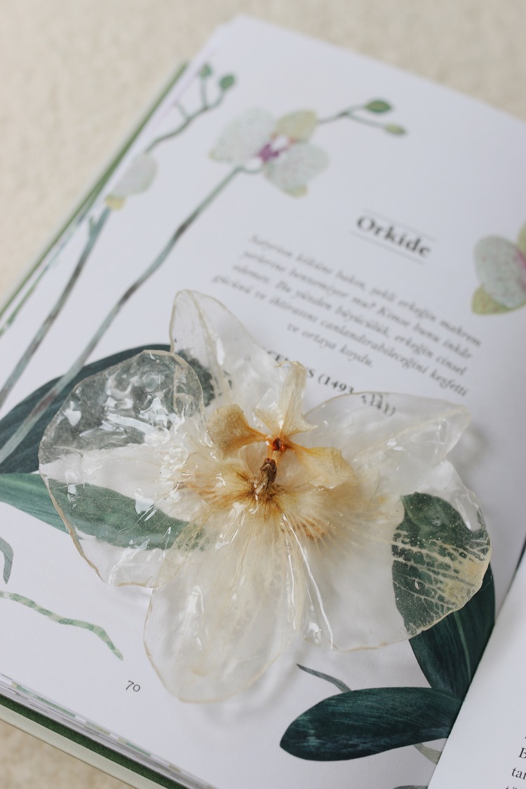 Orkide Brooch
