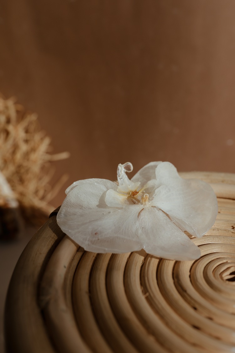 Orkide Brooch