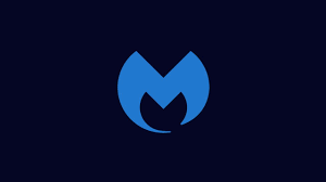 MALWAREBYTES SINIRSIZ ÜYELİK