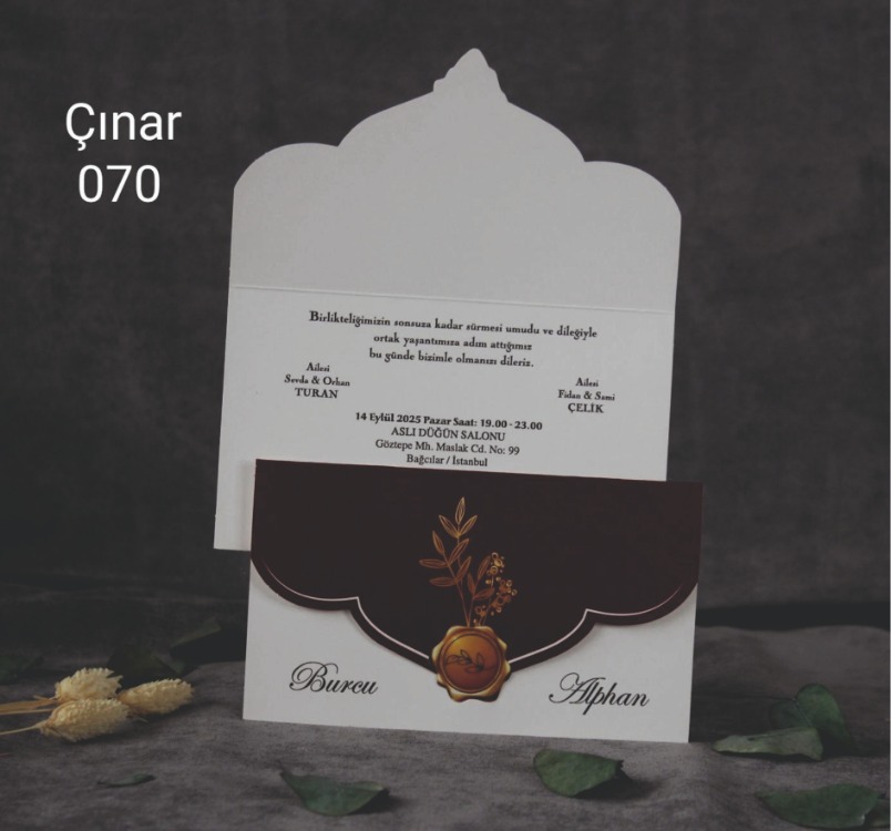 ÇINAR 070
