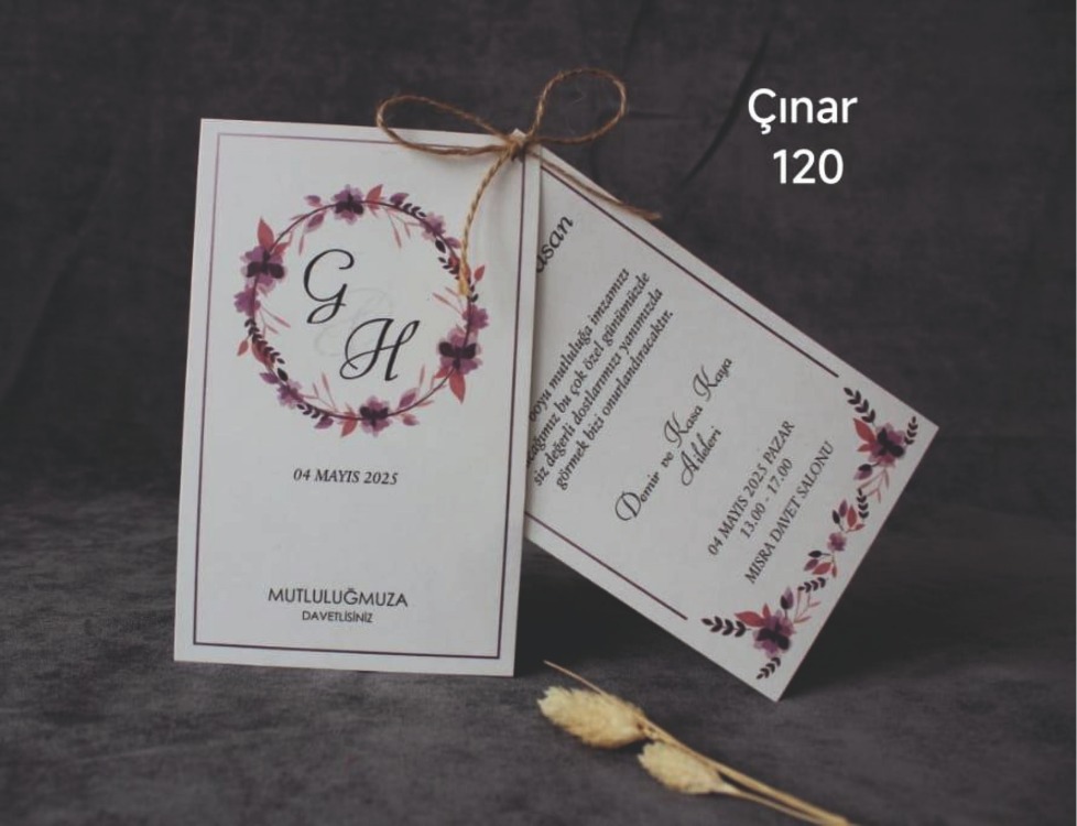 ÇINAR 120 (ZARFSIZ)