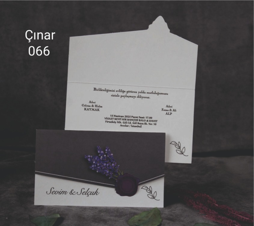 ÇINAR 066