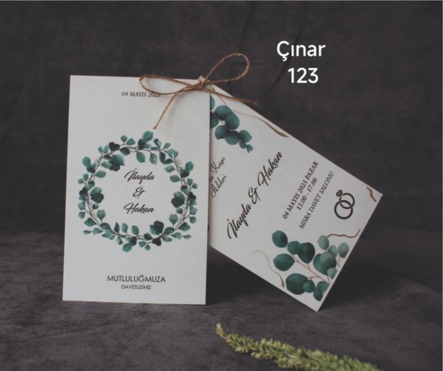 ÇINAR 123 (ZARFSIZ)