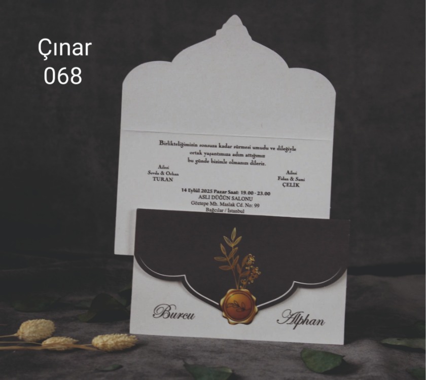 ÇINAR 068