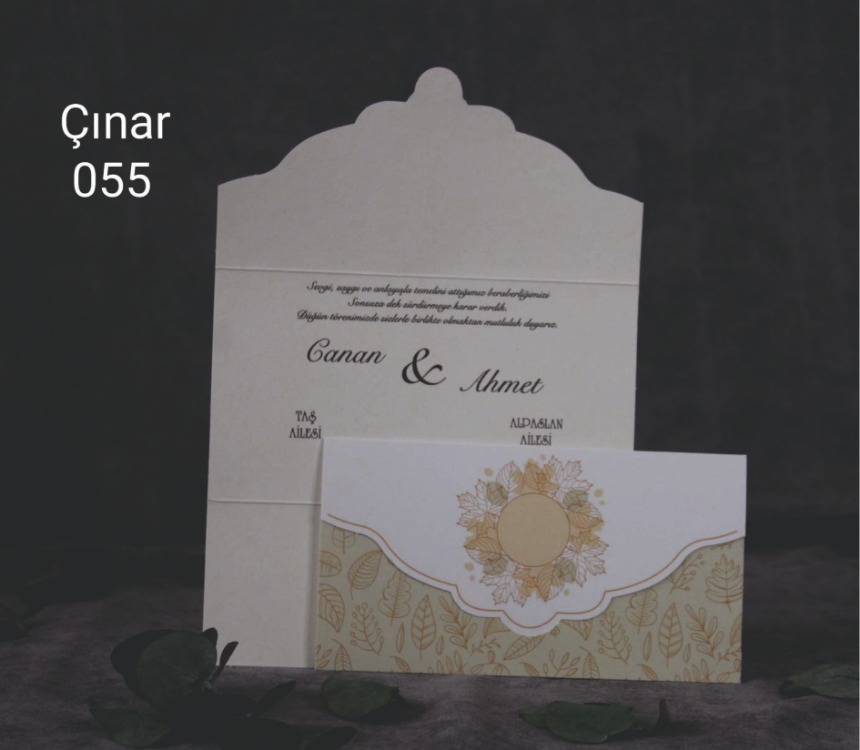 ÇINAR 055