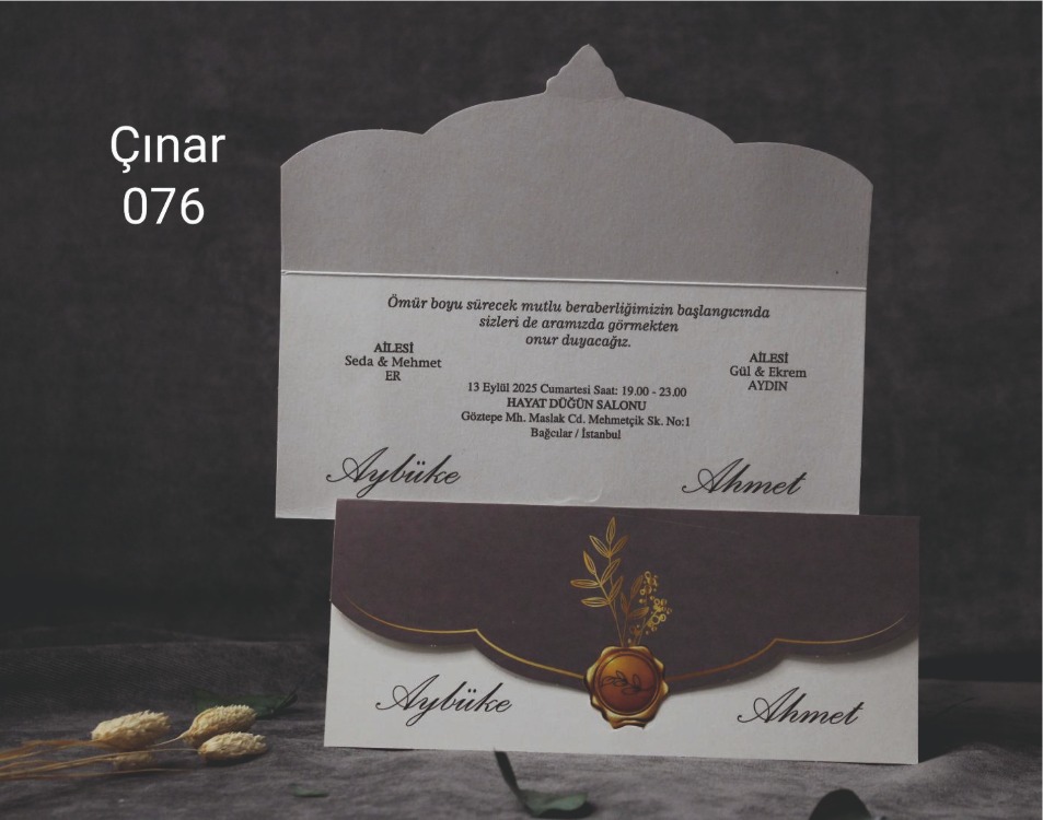 ÇINAR 076