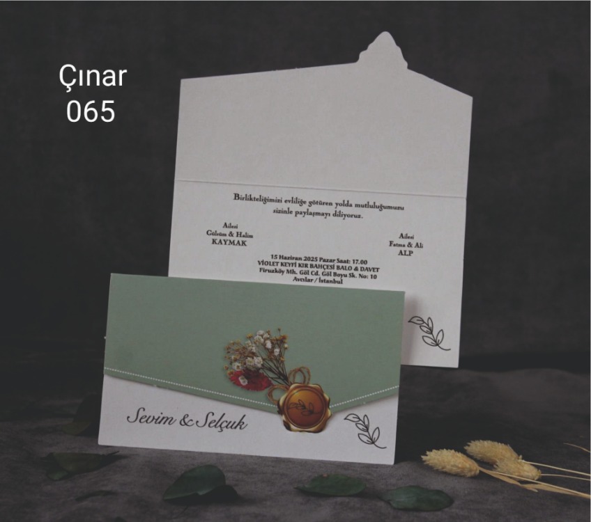 ÇINAR 065