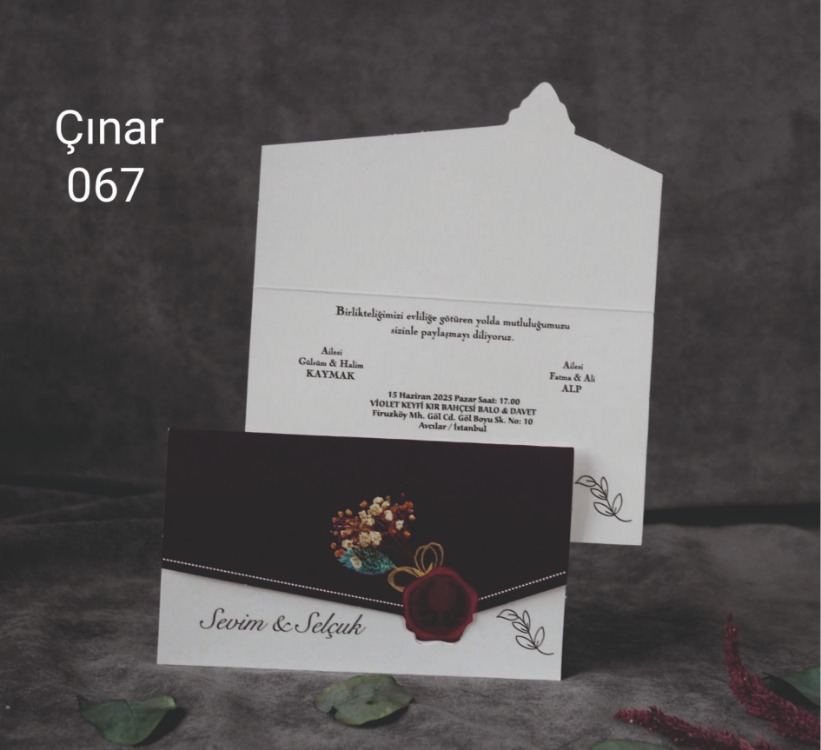 ÇINAR 067