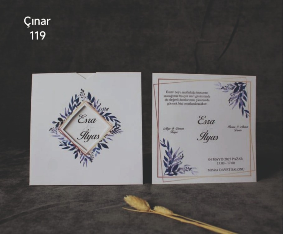 ÇINAR 119