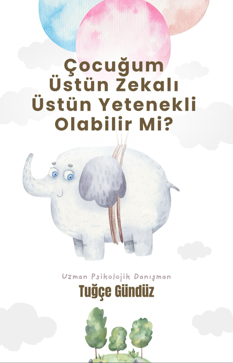 Çocuğum Üstün Zekalı/Yetenekli Olabilir Mi?  -0-4 Yaş Ebeveynlerine Yönelik-