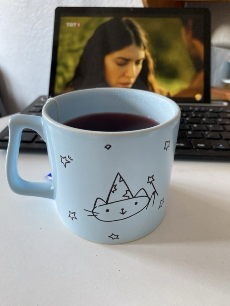 World‘s Best Cat Mom | Özel Tasarım 
