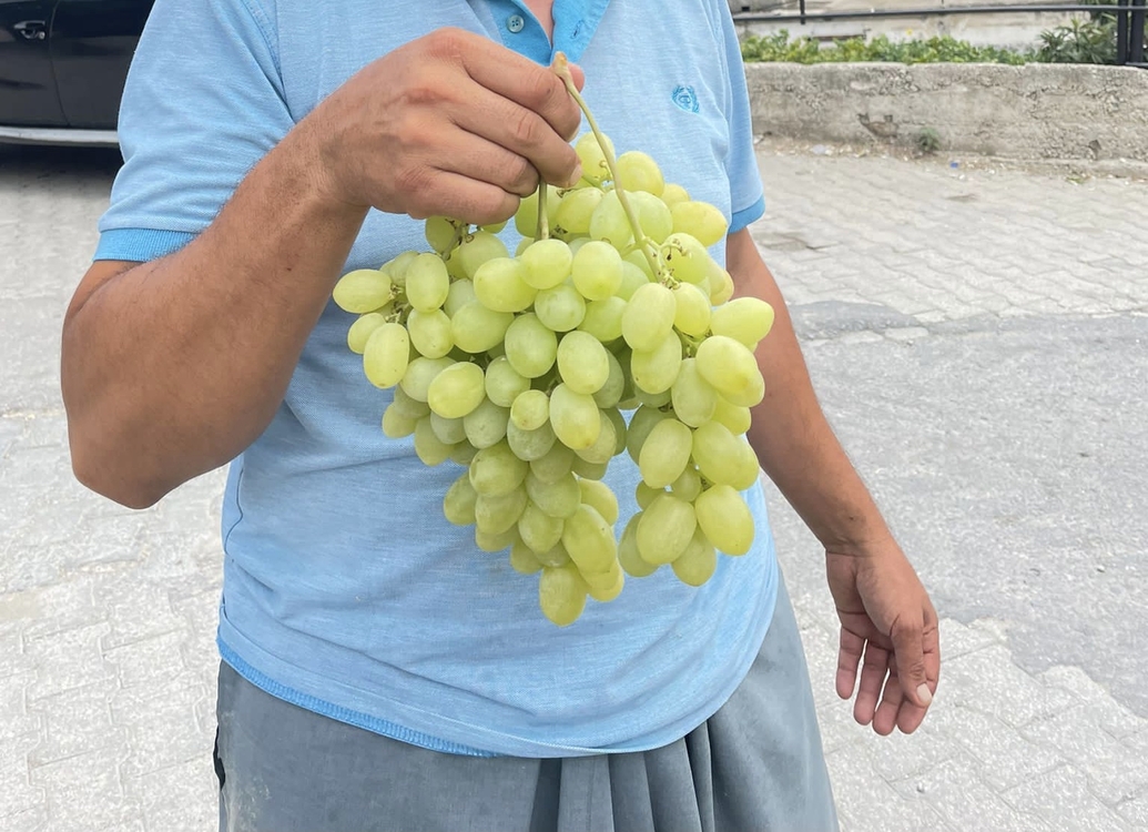 Çekirdeksiz Beyaz Kuru Üzüm(200gram)