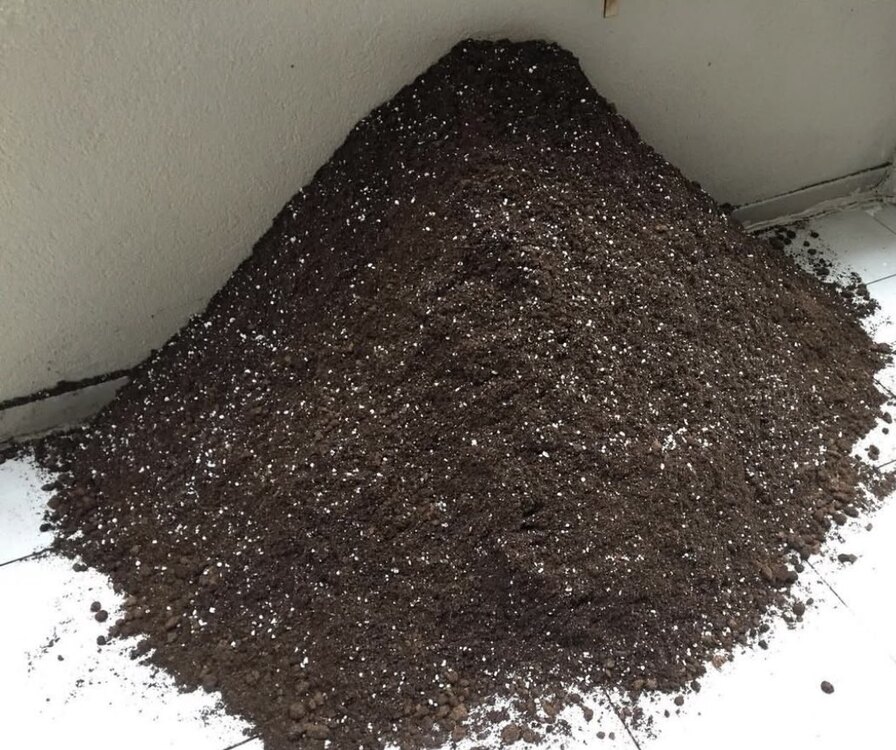 TORF 5Litre 