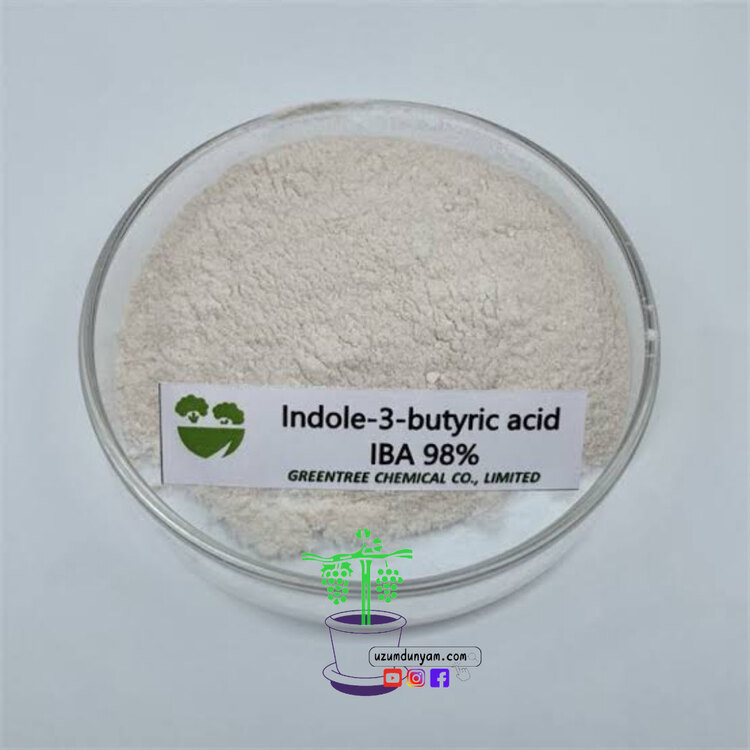 1 litre Köklendirme Hormonu (2gr İba)