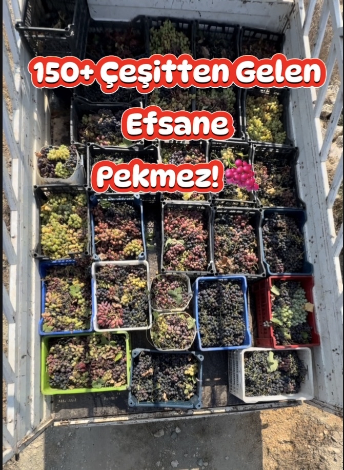 Pekmez 1.4 kg 