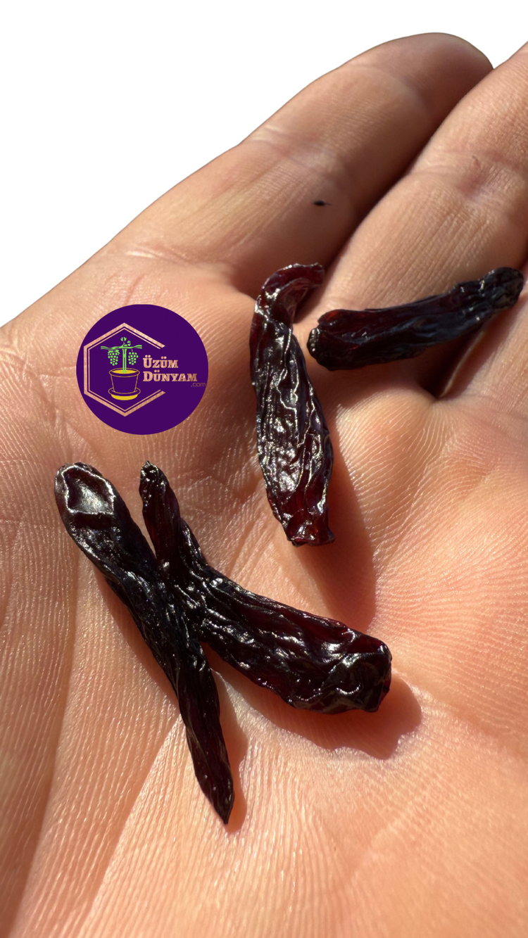Biber Üzüm Kurusu (180gram) 