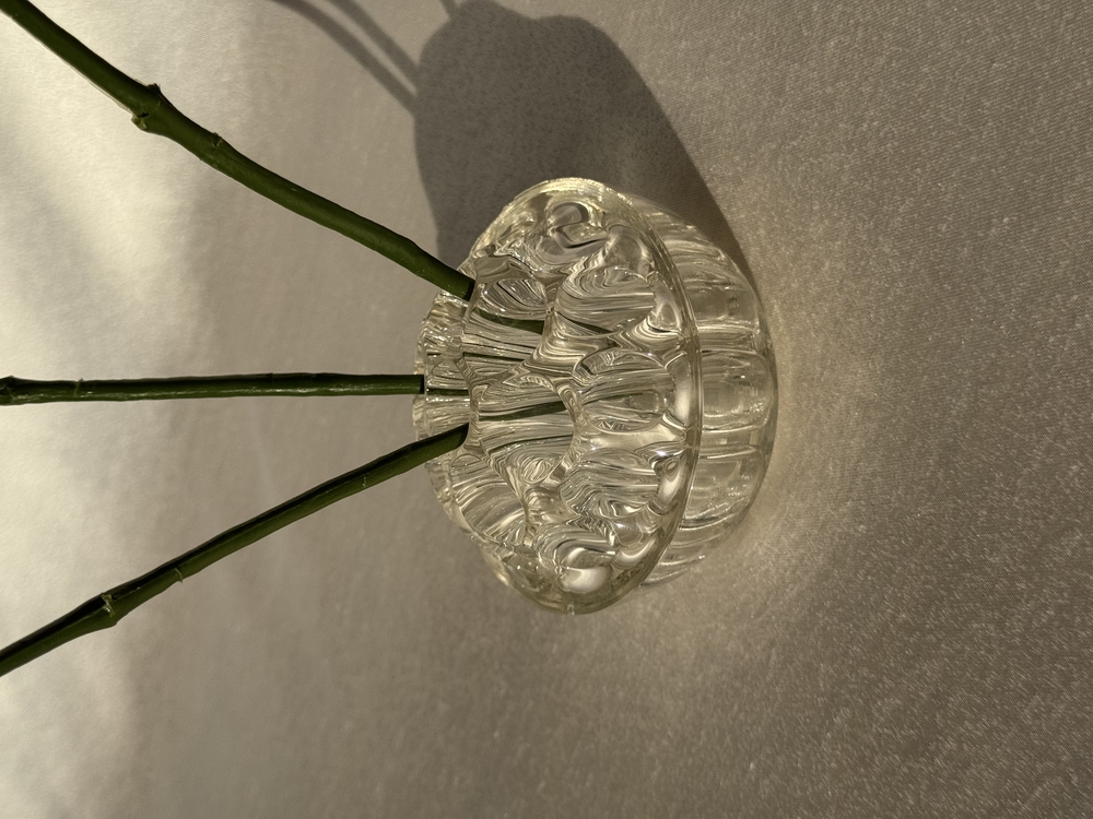 Cam Ikebana Çiçek Düzenleyici