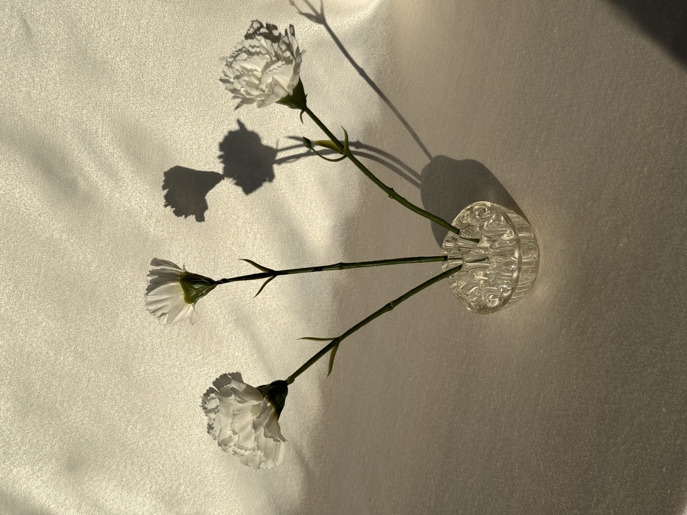 Cam Ikebana Çiçek Düzenleyici