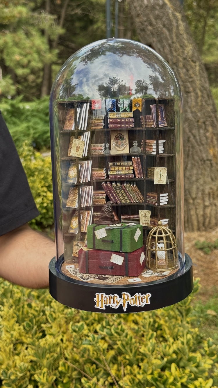 Harry Potter Fanus Kitaplık