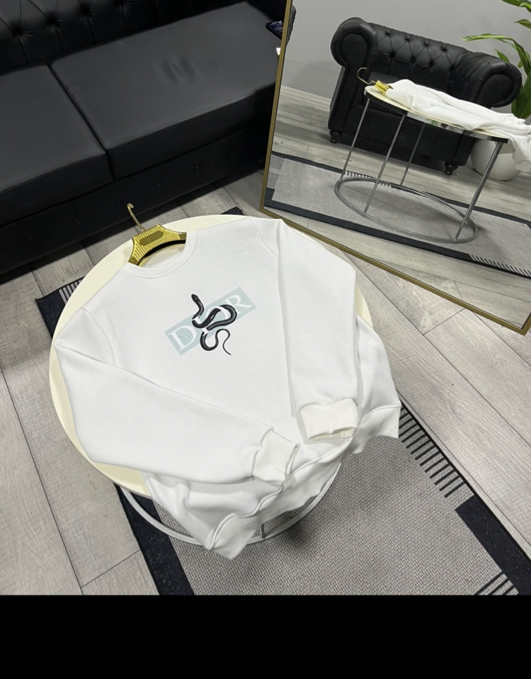 Dior Sweatshirt Premium!