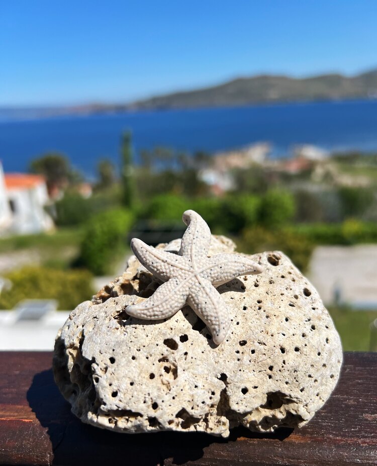 Asteri-D