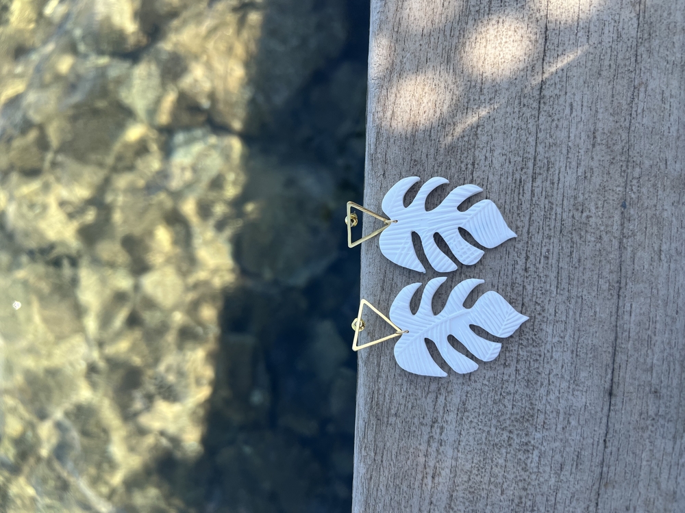 Monstera