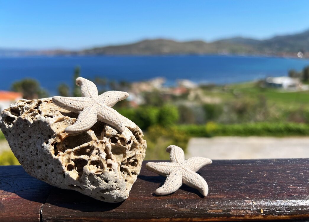 Asteri-D