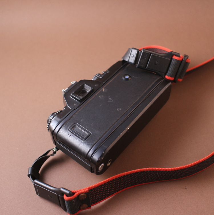 Nikon F-501 body