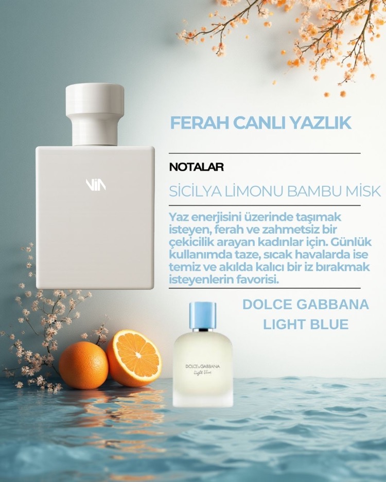 DOLCE GABBANA LIGHT BLUE DUPE
